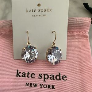 kate spade Shine On french drop wire earings.